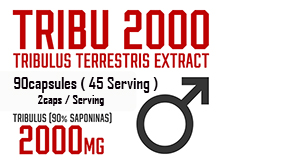 tribu 2000