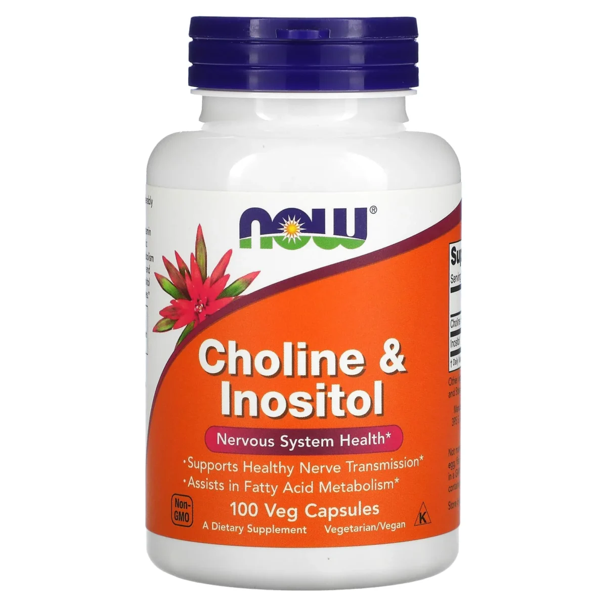 Now Foods, Choline & Inositol, 100 Capsules